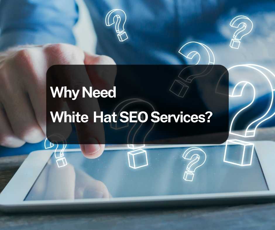 white hat seo service